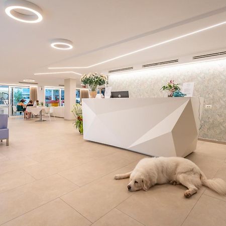 Hotel San Domingo Bellaria-Igea Marina Exterior photo