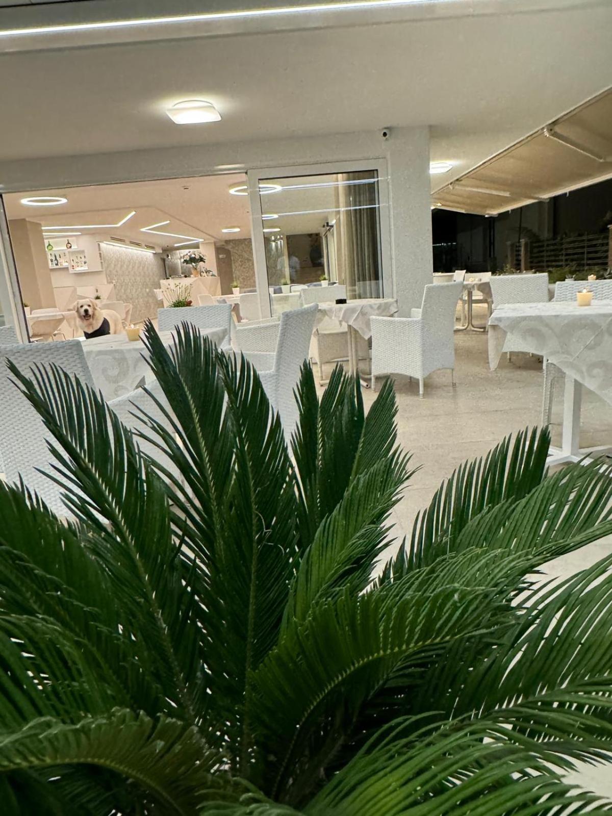 Hotel San Domingo Bellaria-Igea Marina Exterior photo